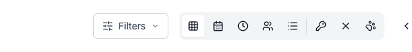 The diary toolbar showing the Filters button and the row of view switcher icons