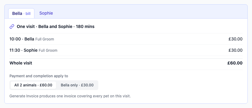 The visit panel showing tabs for Bella and Sophie, one visit of 180 minutes, a line for each pet at thirty pounds, a whole visit total of sixty pounds and a payment scope toggle