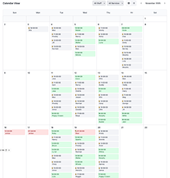 Main Calendar view